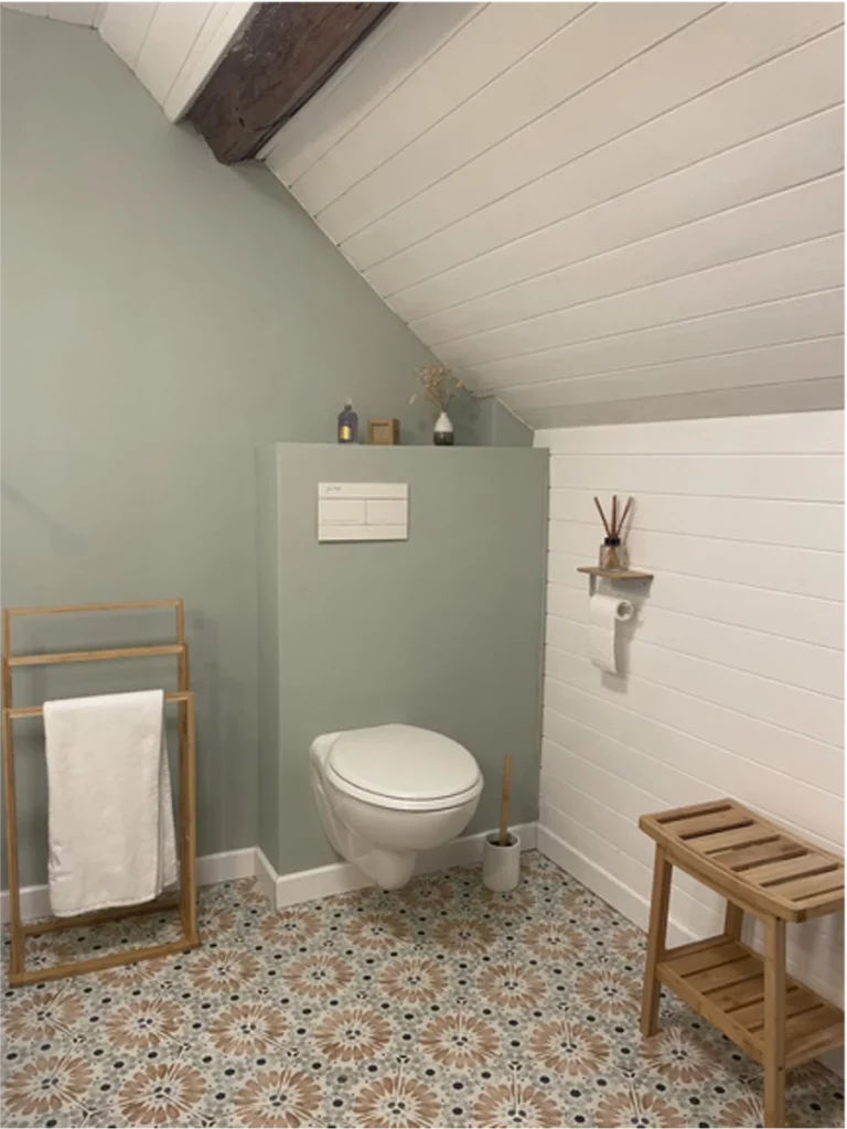 saint martin-salle-de-bain-toilettes